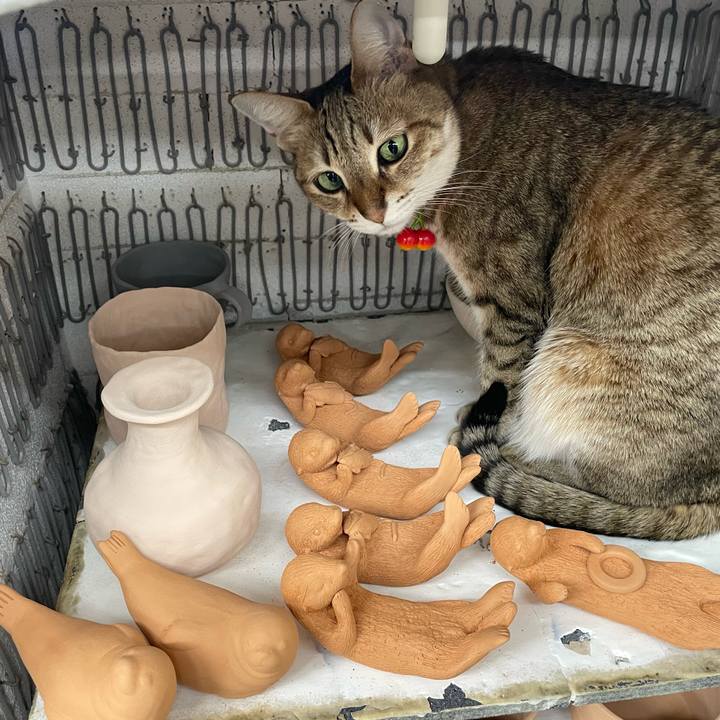 3a5fa98d 56eb 4fa2 be06 a3f627b2cee5 1738148341013