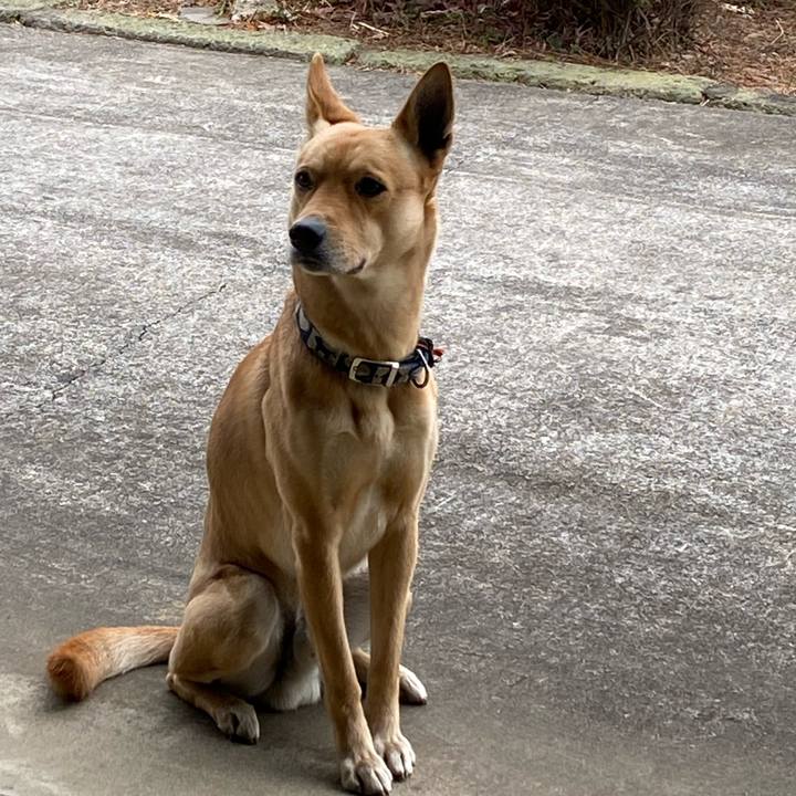 3a5fa9f9 24a4 45b1 8643 ba926c9a0a6a 1615374482007