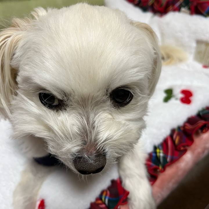 3a5fc282 79eb 4968 8d38 3760692e6c0d 1677152728872