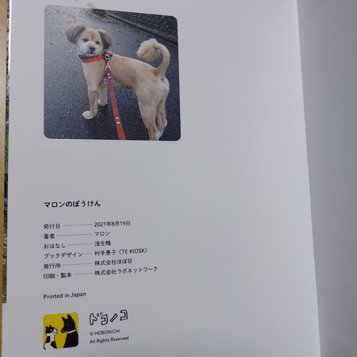 3a6005ad d3a8 4abe 838c 0674e1b643d4 1632581277141