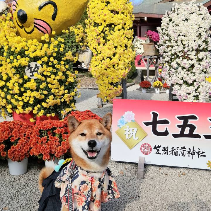 3a600b3e d937 44c2 b52b ffcd46253f59 1606037768293