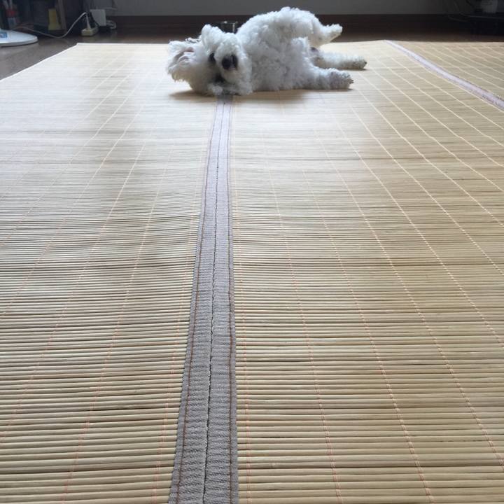 3a600b4a 174b 44b5 b294 797d285318ae 1535410830304