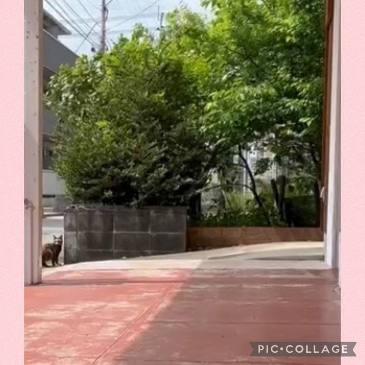 3a60182f 9248 4199 9880 4294d32238c0 1746064783655