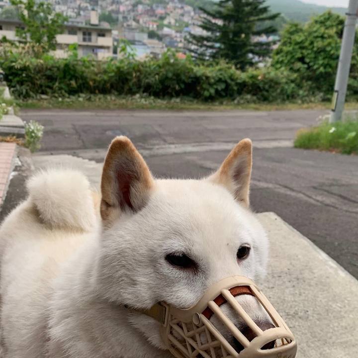 3a6039e6 29a1 4538 b341 38f7ee156759 1559950985969