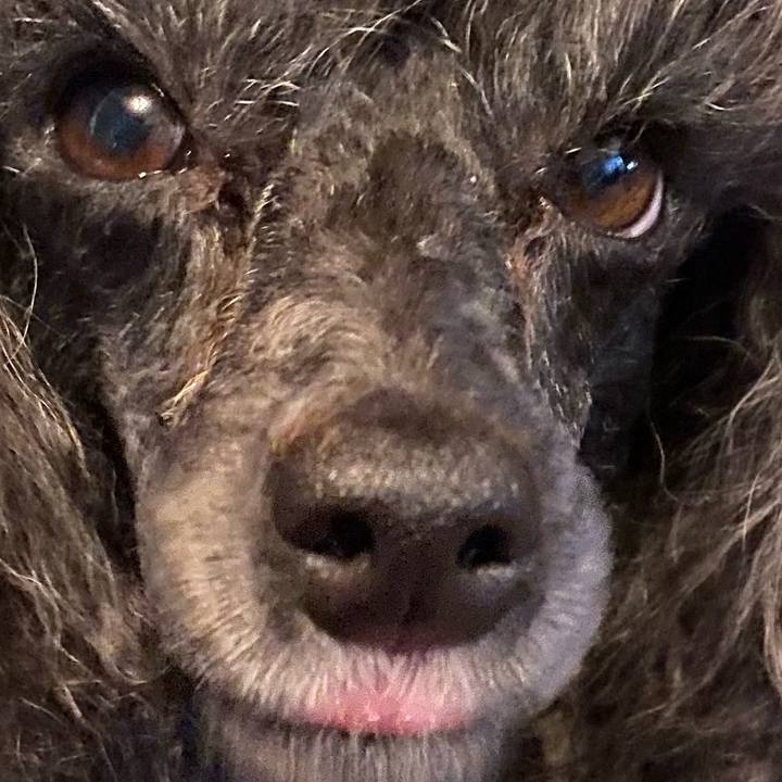 3a6054ab 79da 4821 a6f0 f874123c1ae2 1679109337298