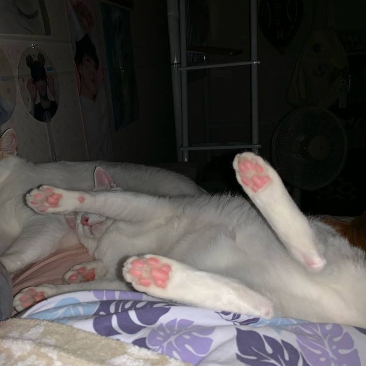 3a605a1d a015 4b0c a84b 6b44ba1afbe7 1561743757933