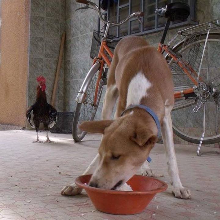 3a60631a bb83 4051 924f e7e7fcd8d684 1549960162749