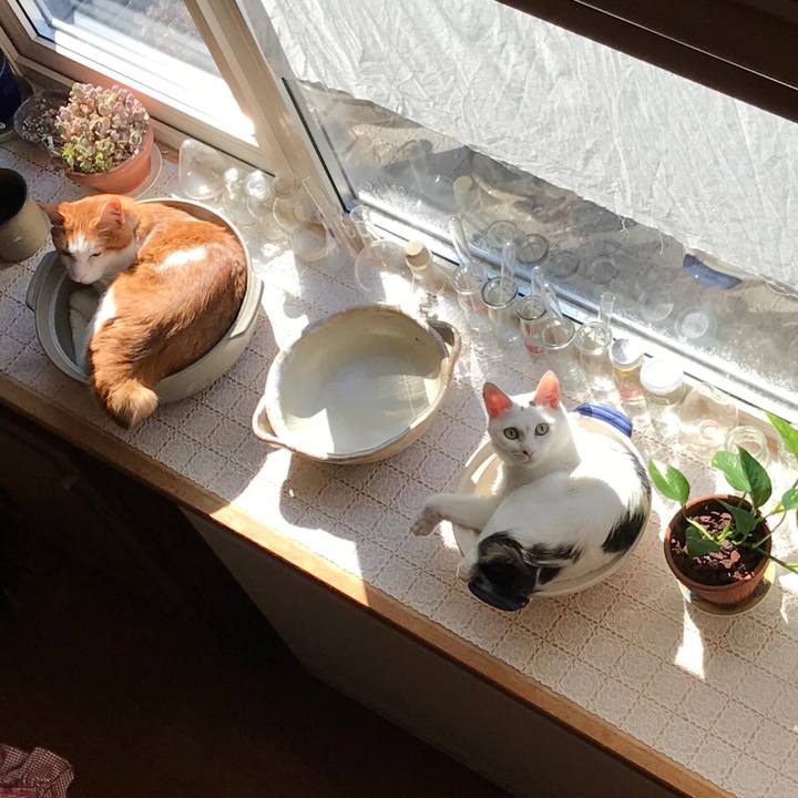 3a60abf7 6e2c 4b3c 954f d15963db53e8 1529187864670