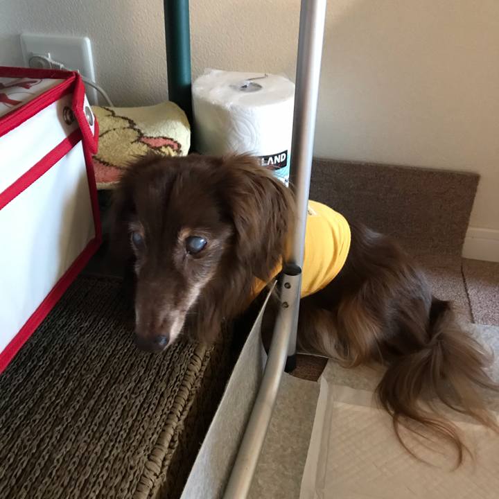 3a60b4ed e77b 469c 9385 101615aa943b 1594094858454