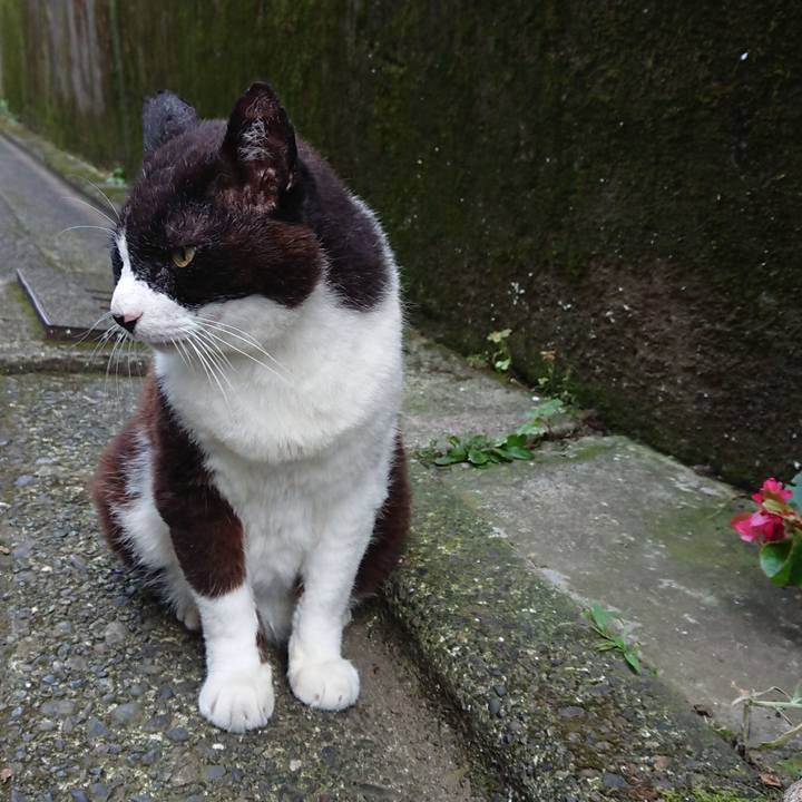 3a60c41b 5fe8 4c6a b835 2ca45fb7dbd9 1688797577391