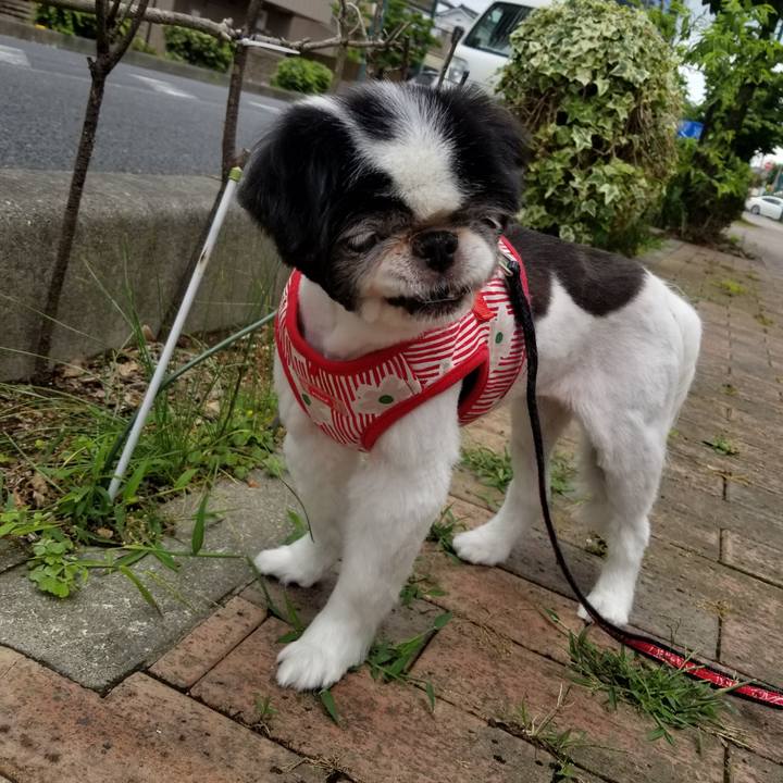 3a60da40 2f42 475e 8b8e a661991ac370 1624183615631