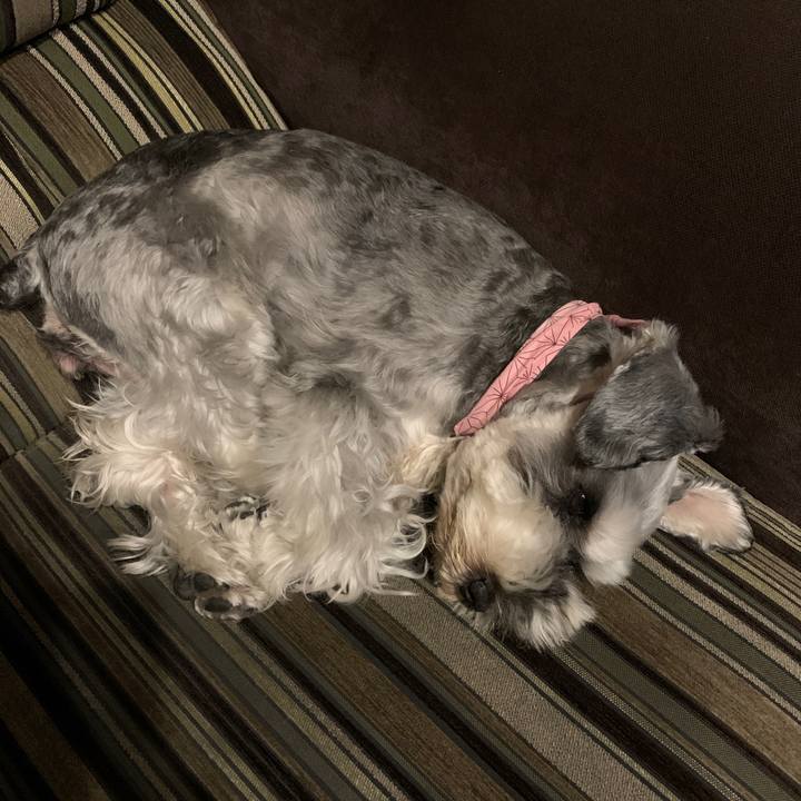 3a610934 d58f 480d 8e0d acdbcb69f4c2 1623939248791