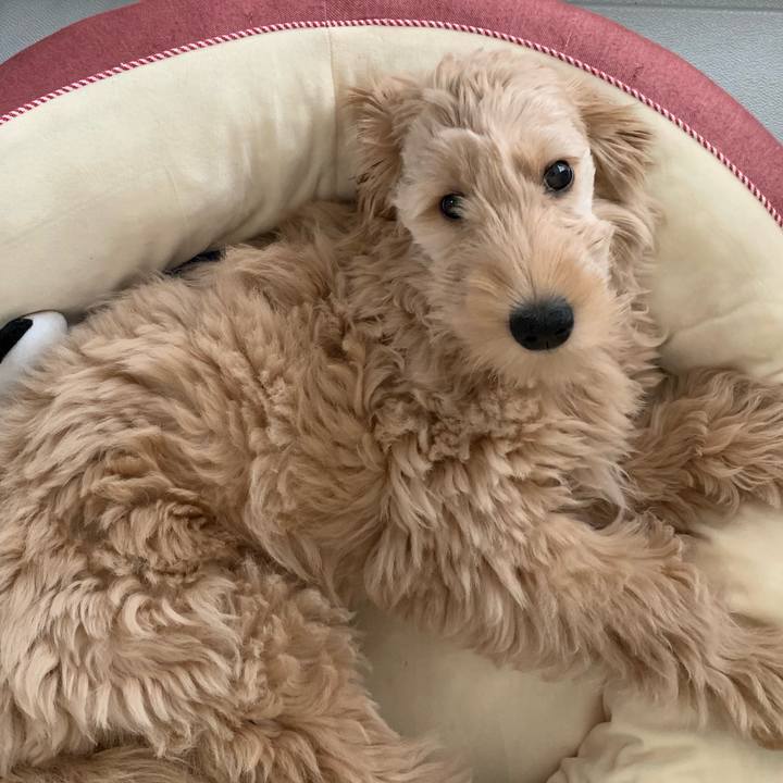 3a614387 eaf6 4fb0 bcc7 bfd96160009b 1681175848440