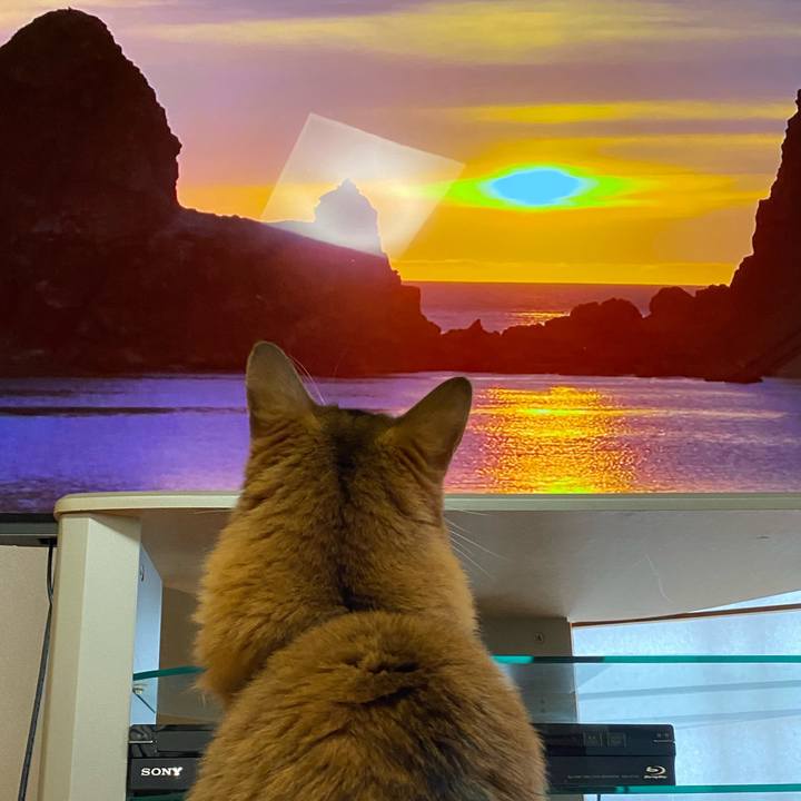 3a61748a a31d 4f2a 93ea 62c6ebc8b839 1658383448859