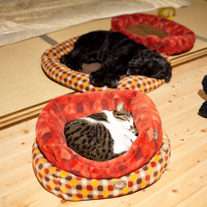 3a61d8e9 8025 45da a5cf aa8ff16a25bd 1604149021040