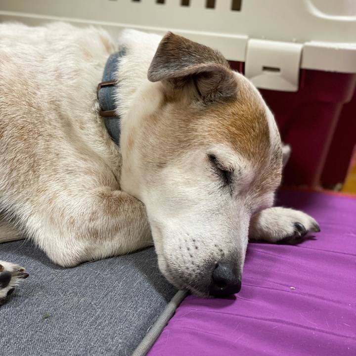 3a623b26 ce19 4620 9043 d2e538d52786 1644236646844