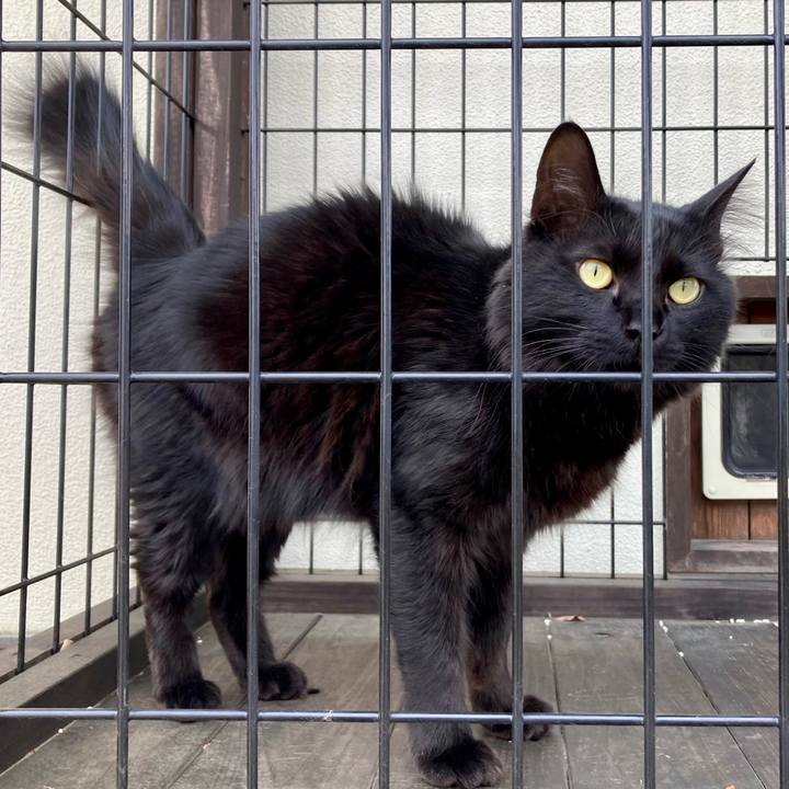 3a62631f 046b 447a b3bb a44245eedf37 1741857336918