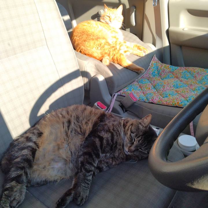 3a626b60 253d 4ff3 a19c 8f0260607412 1717588217612