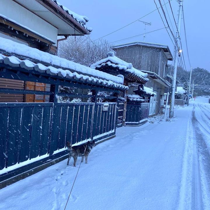 3a627171 0287 4179 9215 3e1a5a38f212 1645070678405