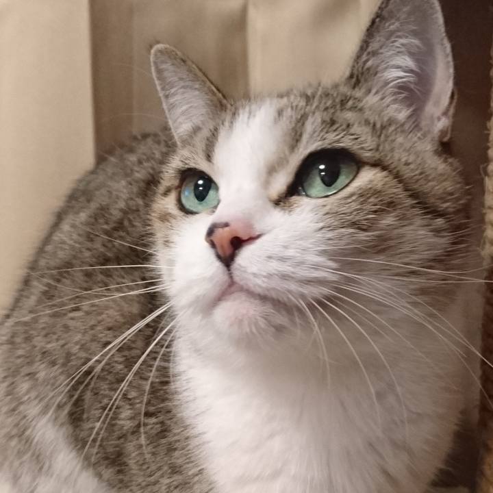 3a628e89 08d9 464d 9941 978d66671640 1765494938523