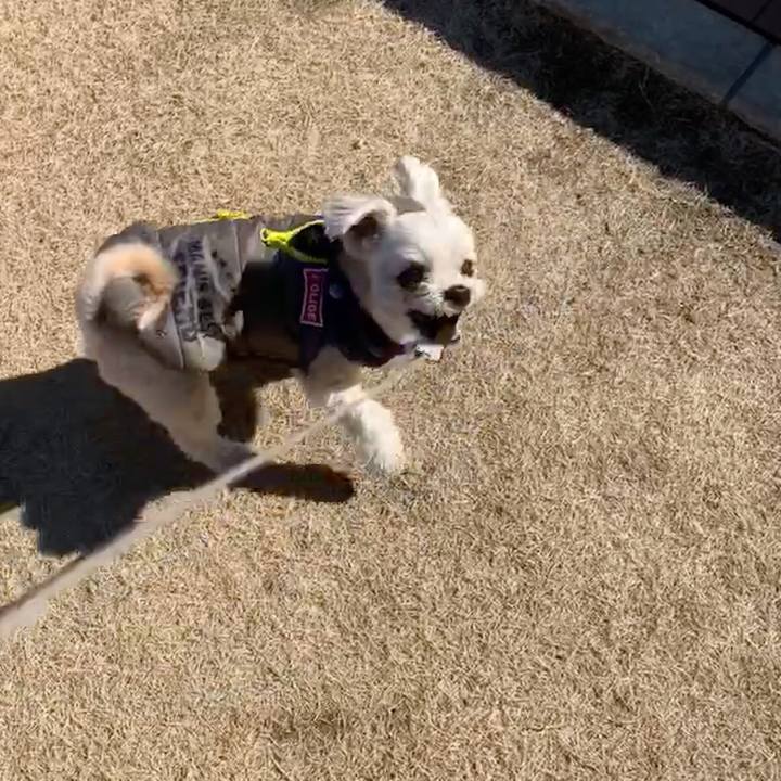 3a62934b dee2 4b6e 9bb7 71b923d293b5 1550384023817