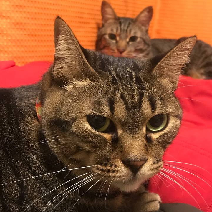 3a6293e1 854e 4d53 a3db 56eaed0dfd0f 1620910531035