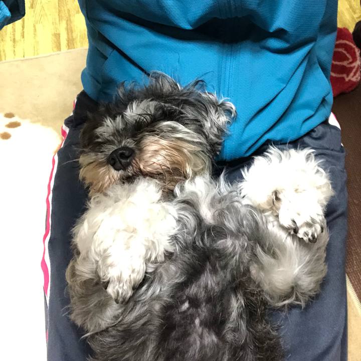 3a62ae5c 16f8 442a 9e86 64ef34789de3 1559998782783