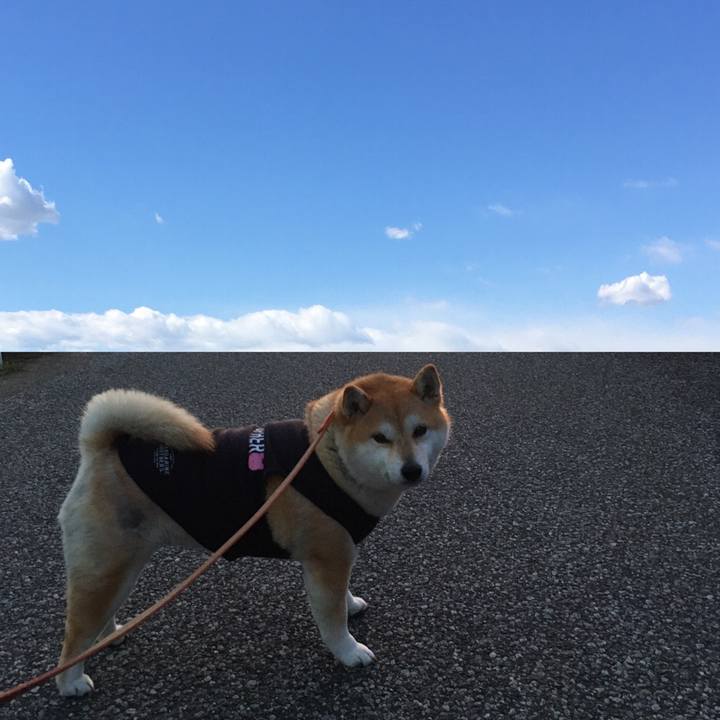 3a62b0b5 6039 4d36 bc2a 7edb0cb157c8 1584139839912