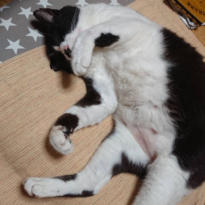 3a62eefb 09ec 468a a928 58b329d49795 1595082770724