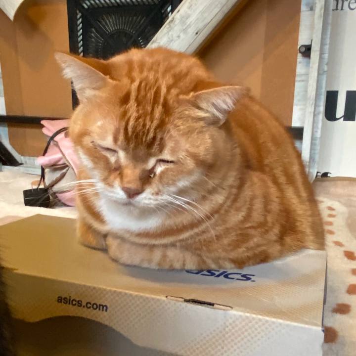 3a6313e6 19b1 4685 9099 787b24b3fa28 1577342873216