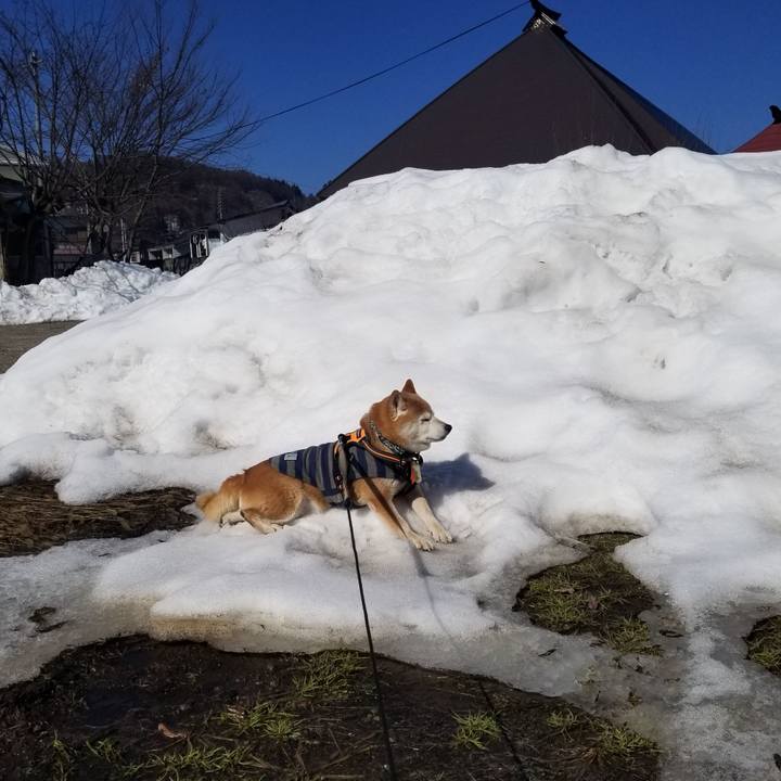 3a634372 eadd 4f55 aa62 02debe078dc9 1708226231131