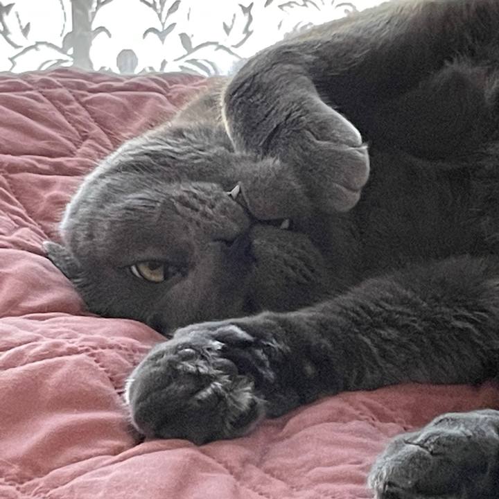 3a6383b3 21b0 4073 9284 134a3727a23d 1694983882088