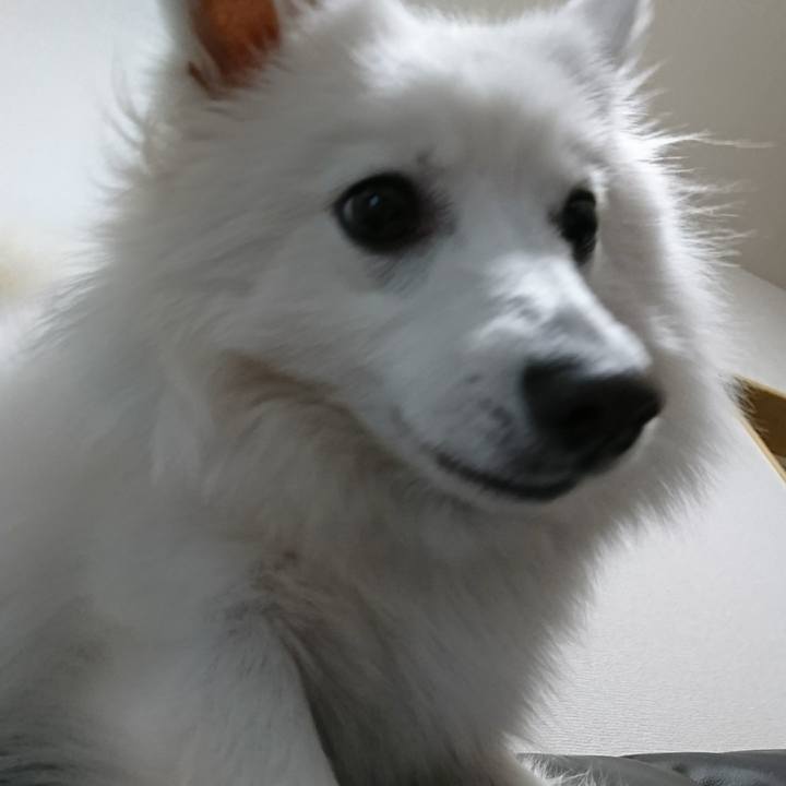 3a638cf3 8fca 440d 922e f1dca2517abe 1517064205057