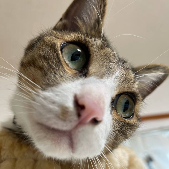 3a63ab8c 865e 431a b90a c49530be3f72 1764426227329