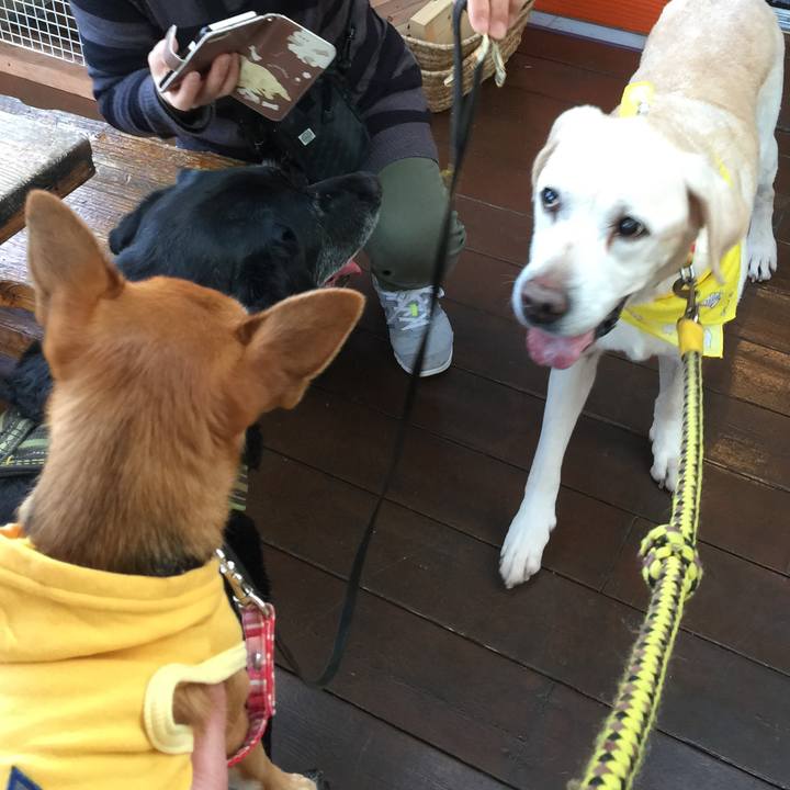 3a63cde5 2662 4a9b a760 ca7ca1db3c5b 1543046896076