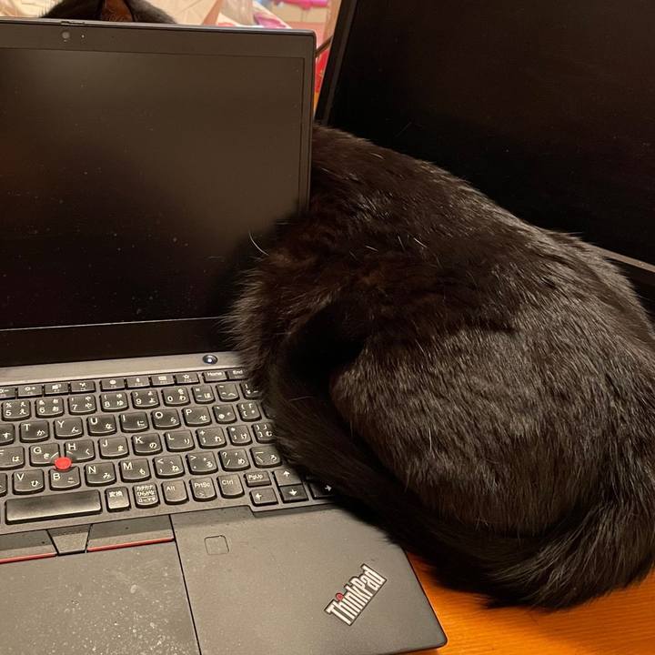 3a63fe8d 310f 446d b9e8 b66c1b99047d 1703416964422