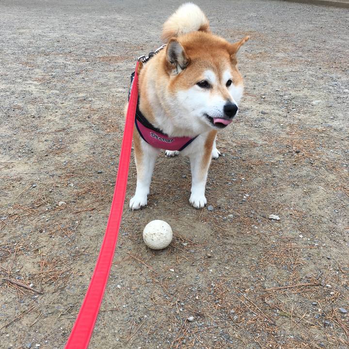 3a641dc9 e363 4049 832c fb0e24d1ed28 1609815567161