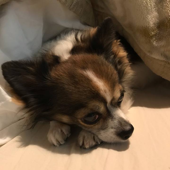 3a64202b f3bb 4cee b548 d7c597258f6f 1605102204284