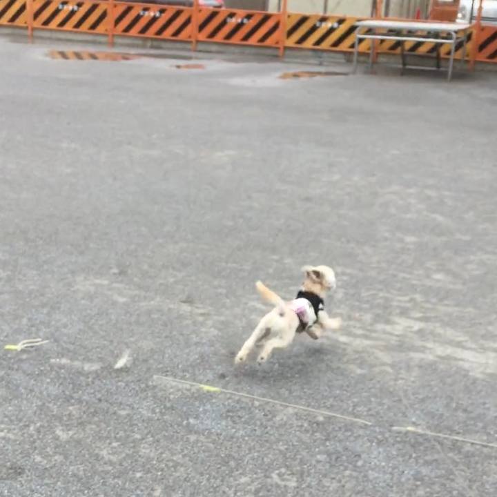 3a644c48 1f61 4685 81f9 6506343526a6 1532765833455