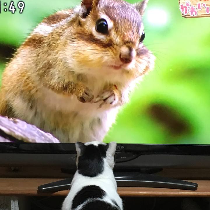 3a645868 d119 4534 af61 29c2bd9fed16 1515941722410