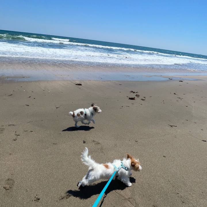 3a64a393 7f6e 4996 86a0 94a860f4e8a2 1775645446614