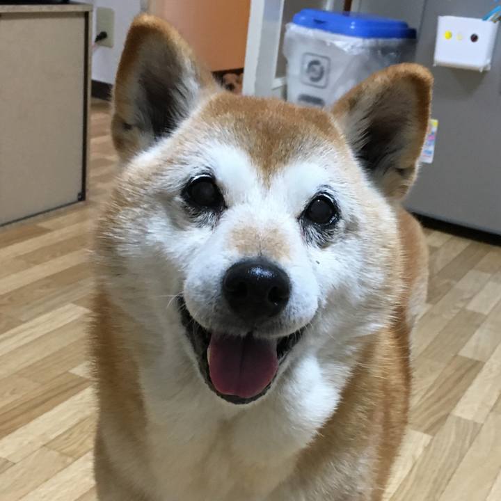 3a64c277 6765 49f9 bd58 ff078df2d614 1521679215798