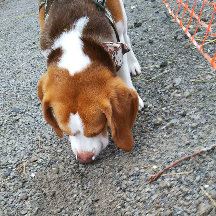 3a650ba5 4e48 49cd 9ade 9f6ff5f6469a 1561789640340