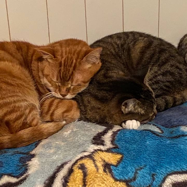 3a654b0b ae7b 4bde 9a4d f8387c93faed 1578534127654