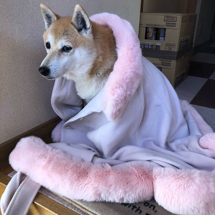 3a6564b8 9b60 4603 99da aad1ebd09d15 1575891798096