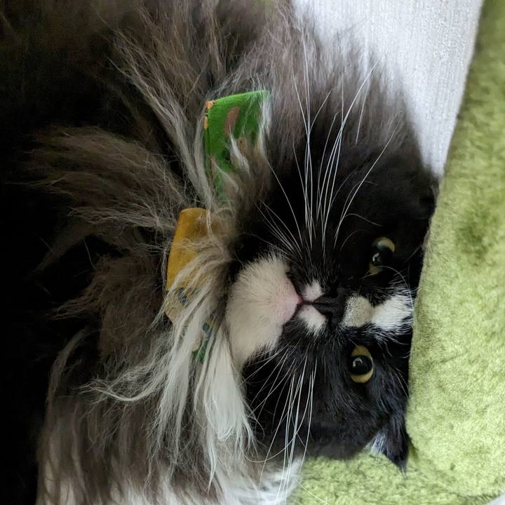 3a65c844 946a 440b 9cfb 31350c8c0d5b 1694400789304