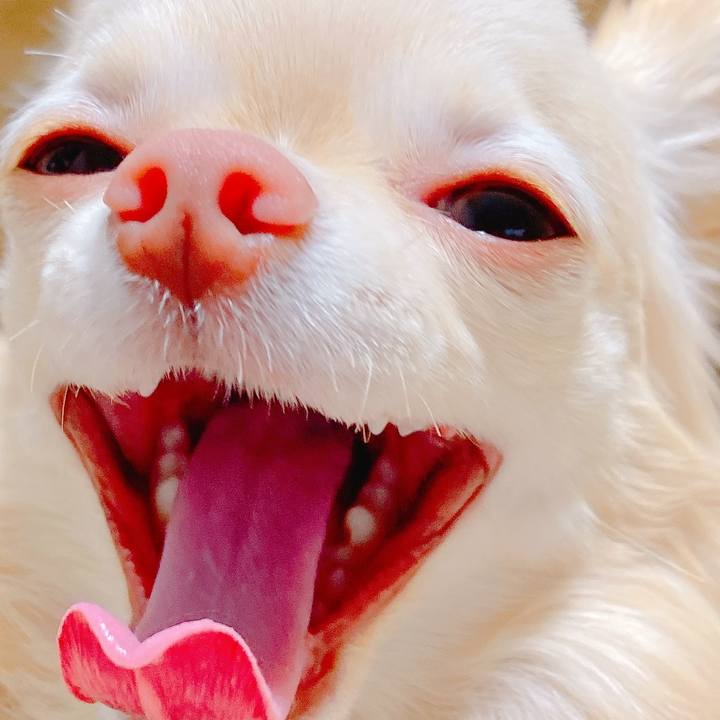 3a65e022 f59d 42b0 bb7c df5e895702ba 1644627403419