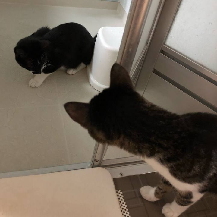 3a65e904 fcc8 47a1 abd1 4adf86e6af5f 1535645087788