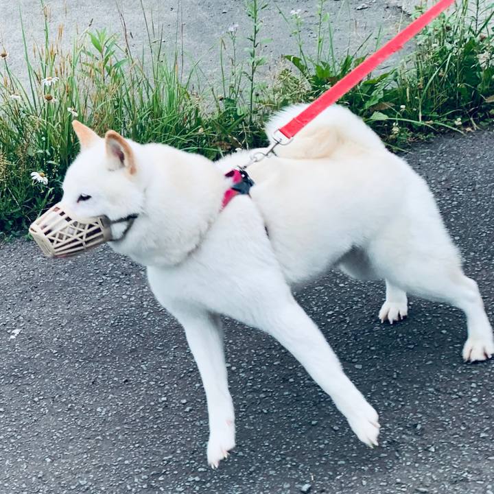 3a65f495 3781 4293 939c e36a9acd6ed0 1594588397848