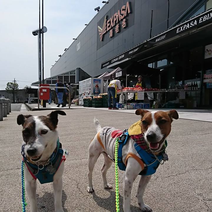 3a65faca 28b6 4c63 a28d 85c2703161bd 1555905382524